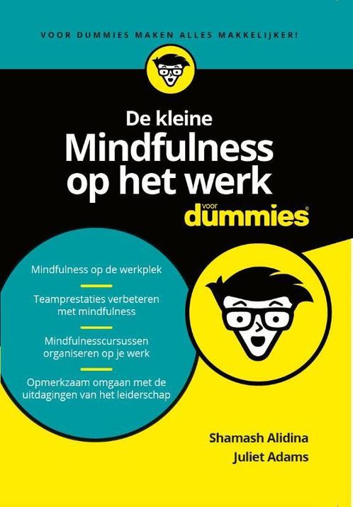 De kleine mindfulness op het werk voor dummies 9789045353555, Boeken, Psychologie, Zo goed als nieuw, Verzenden