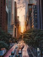 Fabian Kimmel - Summer in the City, New York
