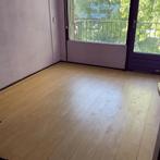 Tweekamerwoning met Balkon en Geen Huisdieren, (Studenten)kamer, Direct bij eigenaar, Schiedam