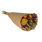 Droogbloemen - Field Bouquet Large - Orange - 60cm, Verzenden