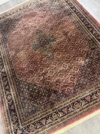 Bidjar - Vloerkleed - 350 cm - 249 cm, Nieuw