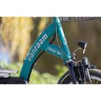 scootmobielfiets van Raam Easy Go, Fietsen en Brommers, Fietsen | Driewielfietsen, Ophalen of Verzenden, Nieuw