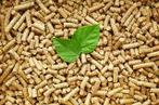 Houtpellets - Kwaliteit Uit Eigen Zagerij - Hoog Rendement!!