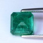 Groen Smaragd - 4.94 ct - Lotus Gemology - Levendig groen, Sieraden, Tassen en Uiterlijk, Edelstenen, Nieuw