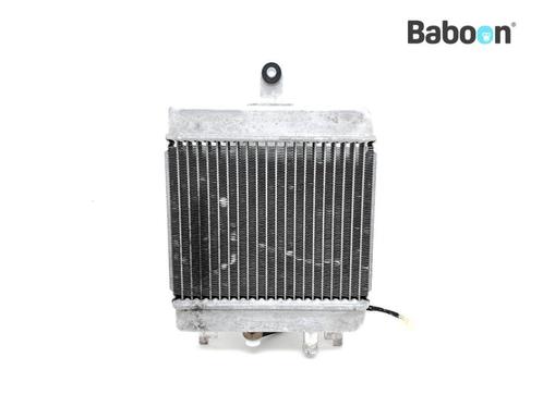 Radiateur Suzuki UH 200 Burgman 2007-2013 (UH200 CD1111), Motoren, Onderdelen | Suzuki, Gebruikt, Verzenden