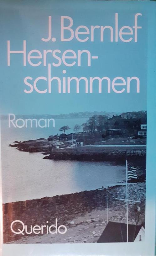 Hersenschimmen 9789021451848 J. Bernlef, Boeken, Romans, Gelezen, Verzenden