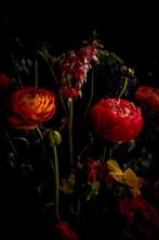 Viet Ha Tran - Secret whisper