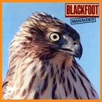 cd - Blackfoot  - Marauder, Verzenden, Zo goed als nieuw