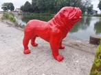 Beeld, XL Engelse buldog red color - 70 cm - polyresin