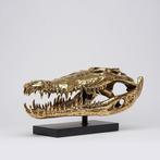 sculptuur, Saltwater Crocodile Skull 50cm - 24 cm - Brons, Antiek en Kunst, Kunst | Designobjecten