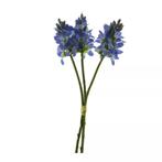 Hyacinten bundel x3 blauw 30cm, Nieuw, Ophalen of Verzenden