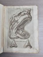 Nicolai Stenonis - Elementorum Myologiae Specimen [Prima, Antiek en Kunst