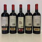 2018 Celsus - 2003, 2006 (x2) & 2008 Vetus, Bodegas Vetus -, Nieuw