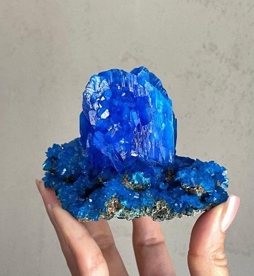 Grote elektrische blauwe TANZANITE CHALCANTHIET kristal op, Verzamelen, Mineralen en Fossielen