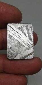 Seymchan-meteoriet. Verzamelddoos. Zonder reserveprijs.