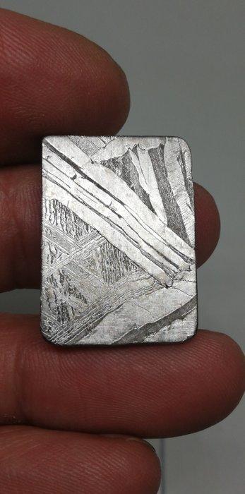 Seymchan-meteoriet. Verzamelddoos. Zonder reserveprijs., Verzamelen, Mineralen en Fossielen