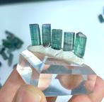 Prachtige tweekleurige toermalijn kristallen Kristalen- 7 g, Verzamelen