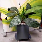 Anthurium kunstplant in metalen bak - 115 cm hoog, Ophalen of Verzenden, Nieuw