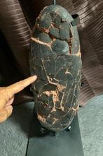 Gigantisch Raptor-ei van 37 cm! - Gefossiliseerd ei -, Verzamelen, Mineralen en Fossielen