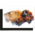 Majestic Bison - Inductie Beschermer, Verzenden, Nieuw