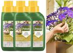 3x Pokon Bloeiende Planten Voeding 250ml, Huis en Inrichting, Verzenden