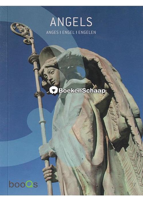 Angels (NIEUW in folie) Paz Diman, Boeken, Esoterie en Spiritualiteit, Verzenden