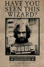 Poster Harry Potter Wanted Sirius Black 61x91,5cm, Verzenden, Nieuw, A1 t/m A3