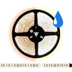 5 meter CCT (Dual white) led strip DUAL LED - 60Leds/m - IP6, Ophalen of Verzenden, Nieuw