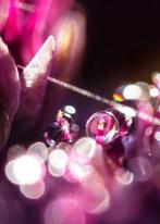 Inna Etuvgi - Purple Dreams