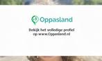Mara zoekt een oppas in Zwolle voor 2 kinderen op vrijdag...
