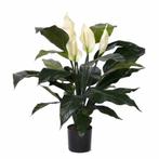 Kunstplant groen Spathiphyllum/Lepelplant 75 cm - Overige .., Huis en Inrichting, Kamerplanten, Ophalen of Verzenden