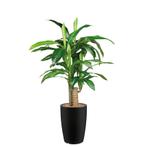 Dracaena Fragans kunstplant, H120cm, Ophalen of Verzenden