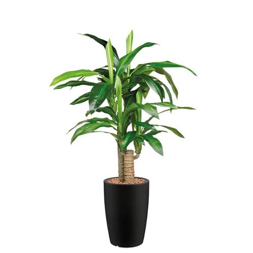 Dracaena Fragans kunstplant, H120cm, Huis en Inrichting, Kamerplanten, Ophalen of Verzenden