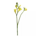 Freesia floramunda geel 65cm, Nieuw, Ophalen of Verzenden