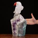 Verzameling Vogels: Gevederde Pracht Taxidermie volledige