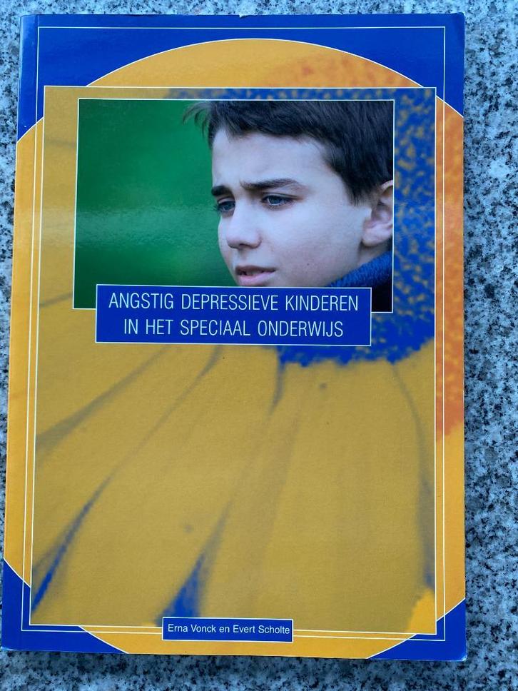 Angstig depressieve kinderen in het speciaal onderwijs, Boeken, Psychologie, Nieuw, Verzenden