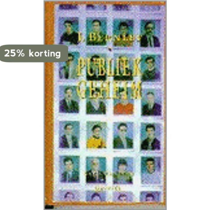 Publiek geheim / Salamander / 726 9789021497266 J. Bernlef, Boeken, Romans, Gelezen, Verzenden