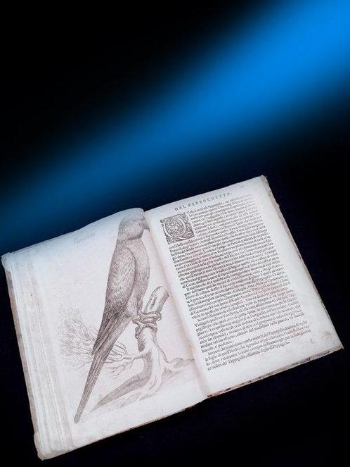 Giovanni Pietro Olina / Antonio Tempesta - Uccelliera, overo, Antiek en Kunst, Antiek | Boeken en Bijbels