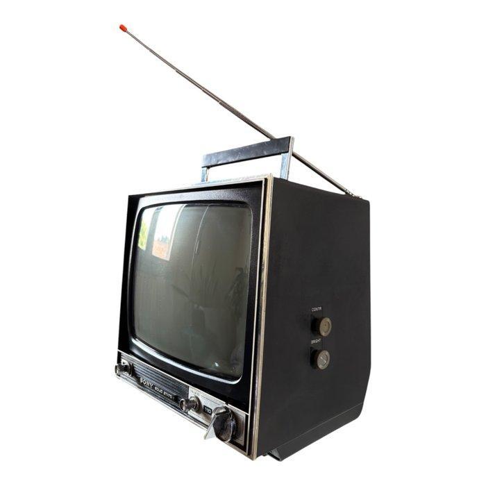 Televisie - Volledig met handleidingen voor Sony TV-110UWE., Antiek en Kunst, Kunst | Designobjecten