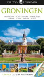 Groningen / Capitool reisgidsen 9789047516620, Boeken, Verzenden, Gelezen, Rien van der Helm