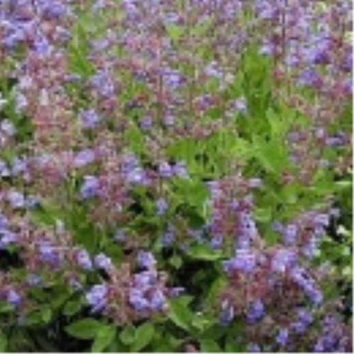 Aromatherapie gelpotten - Aromas Naturales verkrijgbaar in, Tuin en Terras, Zwembad-toebehoren, Verzenden