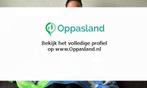 Heleen zoekt een oppas in Veghel voor 2 kinderen., Vacatures