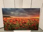 Veiling -  Canvas schilderij 140x90 klaprozen veld, Huis en Inrichting, Woonaccessoires | Schilderijen, Tekeningen en Foto's, Nieuw