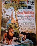 Van Dyck - Affiche Zoo d’Anvers – Van Dyck 300 Anniversaire