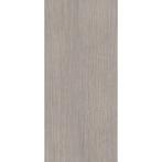 Vloertegel Douglas & Jones 120x280 cm Magnum Plank 5, Ophalen of Verzenden, Nieuw, Overige typen