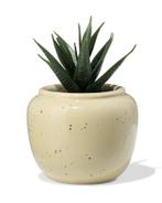 HEMA Bloempot 7x6.6cm keramiek spikkels beige, Verzenden