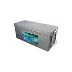 Dyno Gel Accu 191Ah 12V Dgy12-160Ev 530X209X217Mm, Verzenden, Nieuw