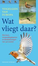 Wat vliegt daar? 9789059564428 Detlef Singer, Verzenden, Gelezen, Detlef Singer