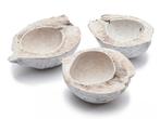 Halve kokosnoot white wash 15-20 cm - voor decoratie en diy, Hobby en Vrije tijd, Knutselen, Ophalen of Verzenden, Nieuw