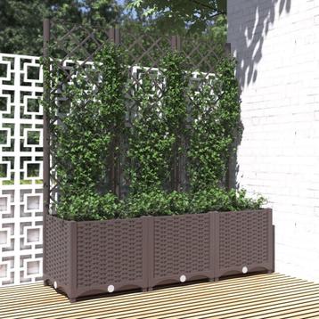 Plantenbak Latwerk 120cm - Tweedekansje - Klimplanten! beschikbaar voor biedingen